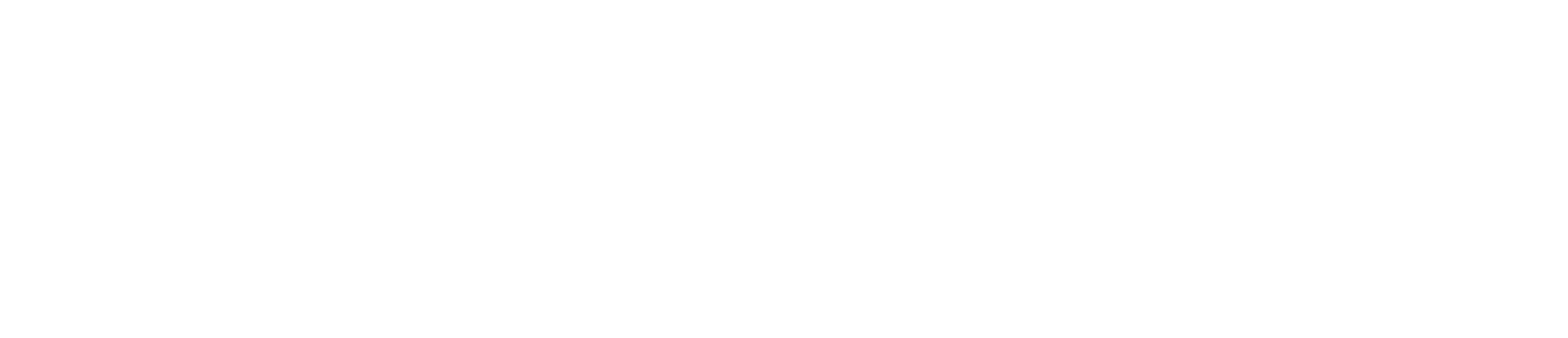 bi-solutions ag